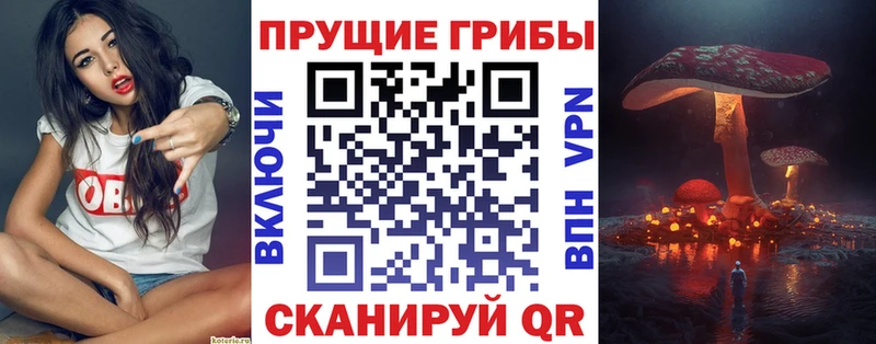 дарк нет клад  Назарово  Псилоцибиновые грибы Magic Shrooms 