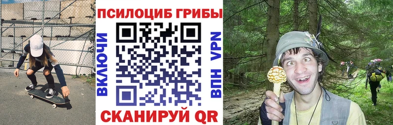 Псилоцибиновые грибы GOLDEN TEACHER Назарово
